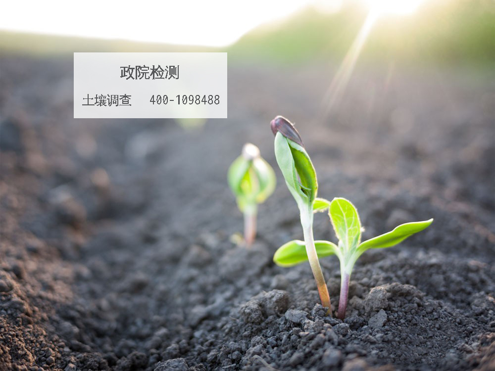 ���������{(di��o)��