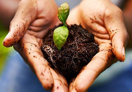 �����̏U��z�y